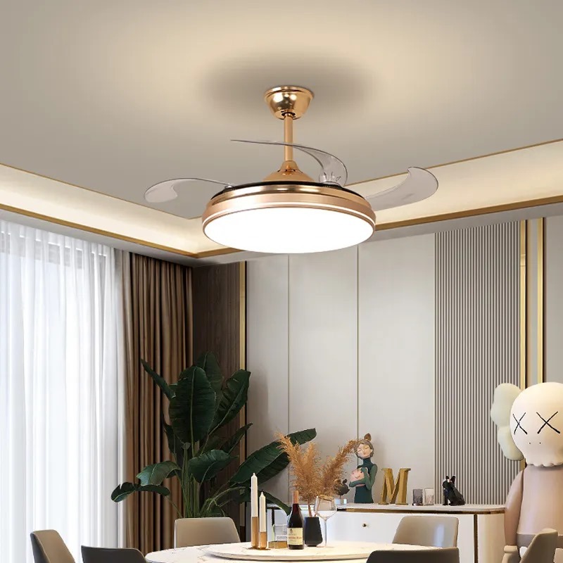 WhatsApp Image 2024-01-27 at 21.15.02_2531ae28