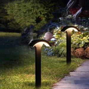 WhatsApp Image 2024-01-29 at 11.59.12_9bd0dc63